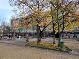 Pronájem bytu 1+1, Pardubice, ul. Jindřišská